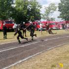 zdjęcie nr 33