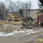 Fotka nr 5 z 11