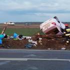 Fotka nr 3 z 5