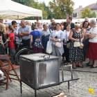 zdjęcie nr 75