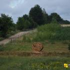 zdjęcie nr 53
