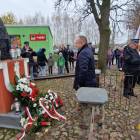 zdjęcie nr 28