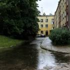 zdjęcie nr 11