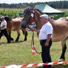 zdjęcie nr 138