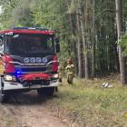zdjęcie nr 8