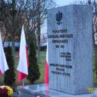 zdjęcie nr 7