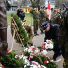 zdjęcie nr 51