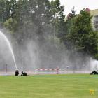 zdjęcie nr 196