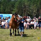 zdjęcie nr 81