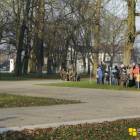 zdjęcie nr 33