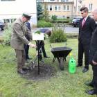 Fotka nr 5 z 8