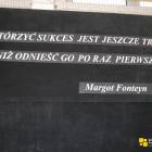 Fotka nr 3 z 11