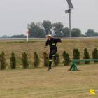 zdjęcie nr 42