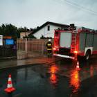 Fotka nr 5 z 7
