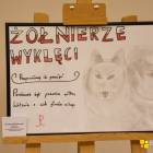 zdjęcie nr 11