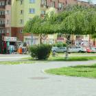 zdjęcie nr 13