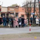 zdjęcie nr 42