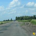 zdjęcie nr 51