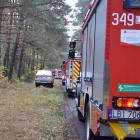 zdjęcie nr 44