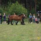 zdjęcie nr 53