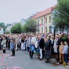 zdjęcie nr 111
