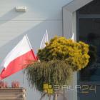 zdjęcie nr 85
