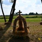 zdjęcie nr 131