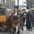 zdjęcie nr 33
