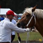zdjęcie nr 196