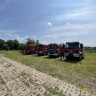 Fotka nr 5 z 8