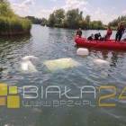 Fotka nr 1 z 2
