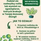 Fotka nr 0 z 1