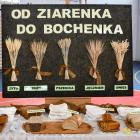 zdjęcie nr 11