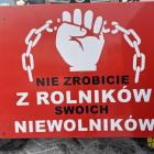 zdjęcie nr 12