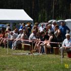 zdjęcie nr 38