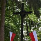 zdjęcie nr 78