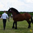 zdjęcie nr 91