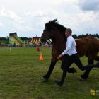 zdjęcie nr 95