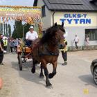 zdjęcie nr 267