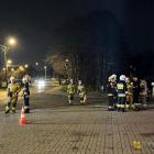 zdjęcie nr 75