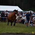 zdjęcie nr 177