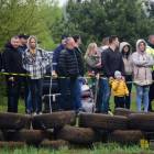 zdjęcie nr 141