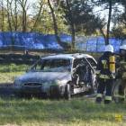 zdjęcie nr 273