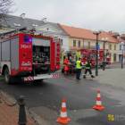 zdjęcie nr 11