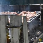 zdjęcie nr 19