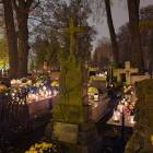 zdjęcie nr 24