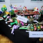 zdjęcie nr 7