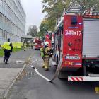 Fotka nr 5 z 7