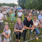 zdjęcie nr 17