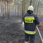 Fotka nr 1 z 9